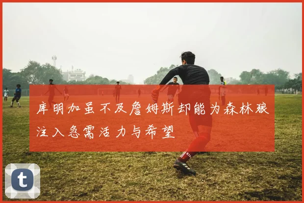 库明加虽不及詹姆斯却能为森林狼注入急需活力与希望